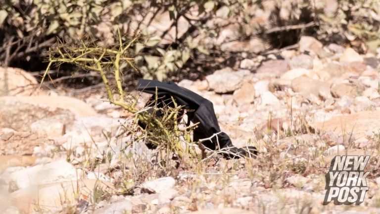 Nancy Guthrie case investigators find black gloves near roadside