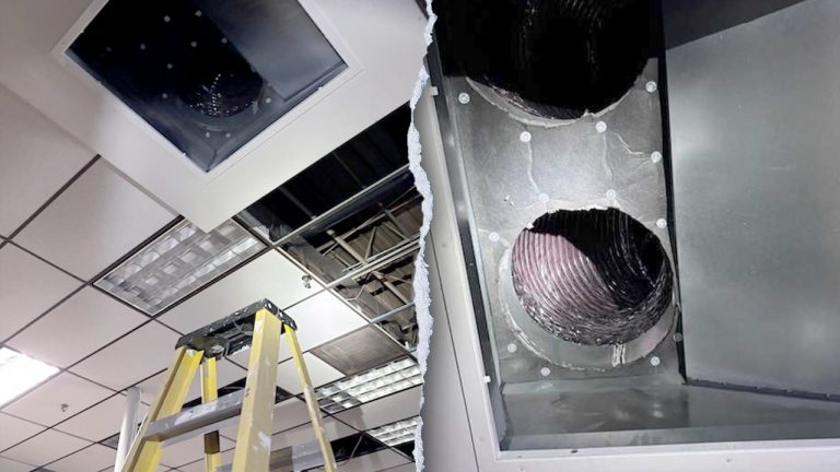 Police dog helps sniff out find burglary suspect hiding in air vent