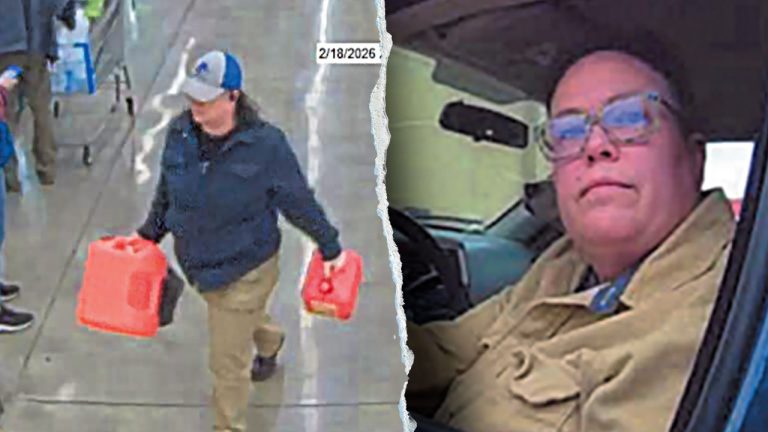 Idaho woman accused of attempting to set fire to DHS building with stolen ambulance