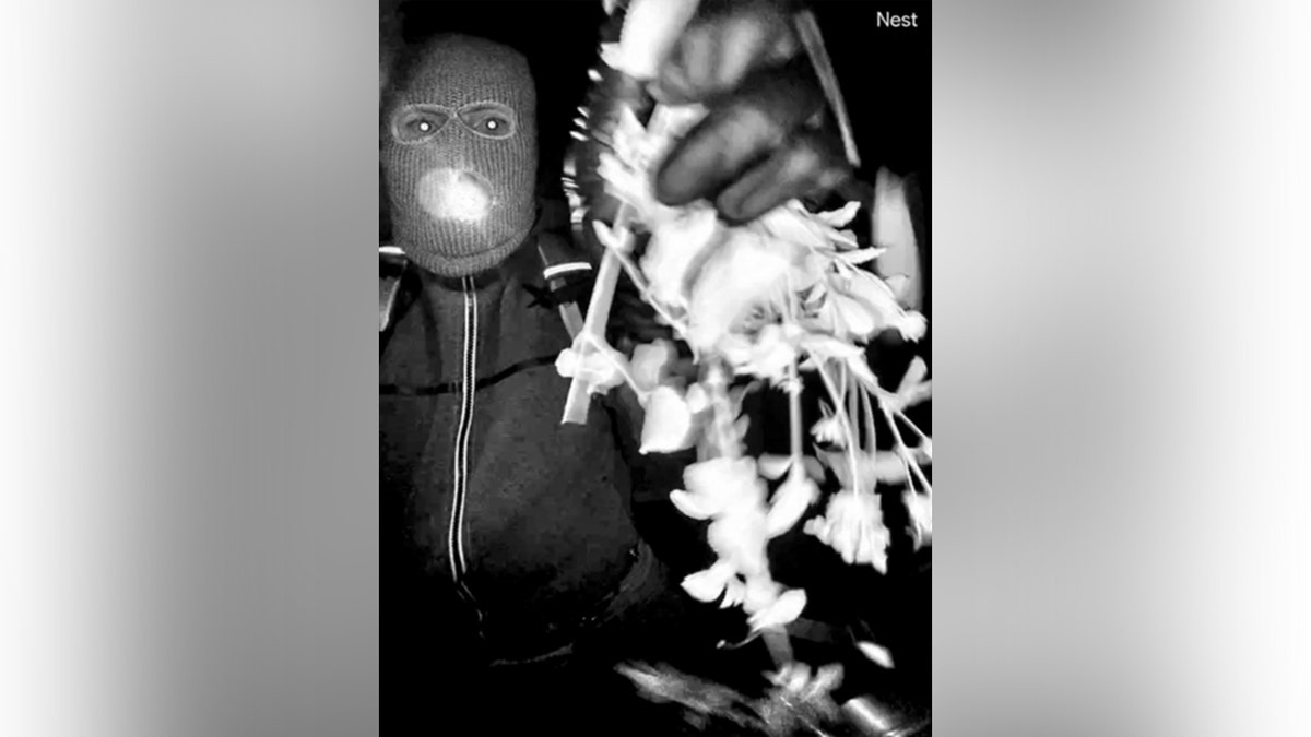 This image released by the FBI show an armed individual appearing to have tampered with the camera at Nancy Guthrie's front door the morning of her disappearance in Tuscon, Arizona, Sunday February 1, 2026. (Provided by FBI)