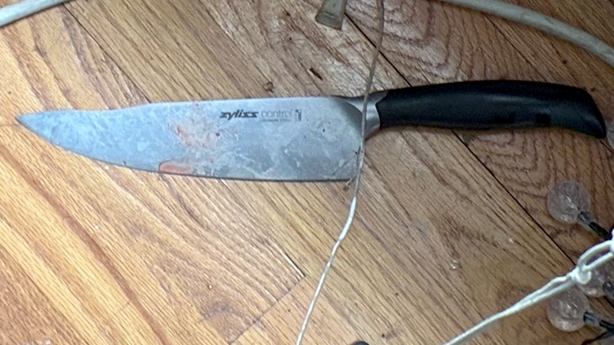 Knife used by mentally ill suspect in NYC