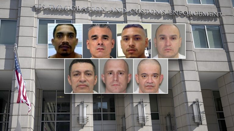 ICE Houston touts over 400 illegal alien child sex offenders arrested during Trump’s first year back in office