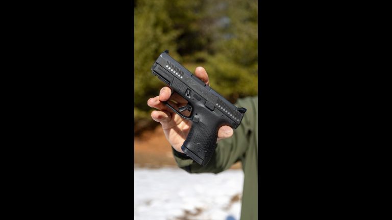CZ P 10s (Concealed Carry PIstol)