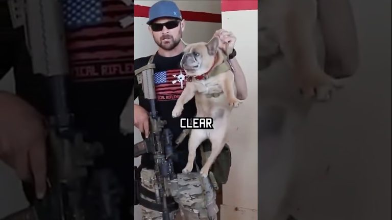 How Navy Seals clear a room #military #howto #dog #funny #specialforces
