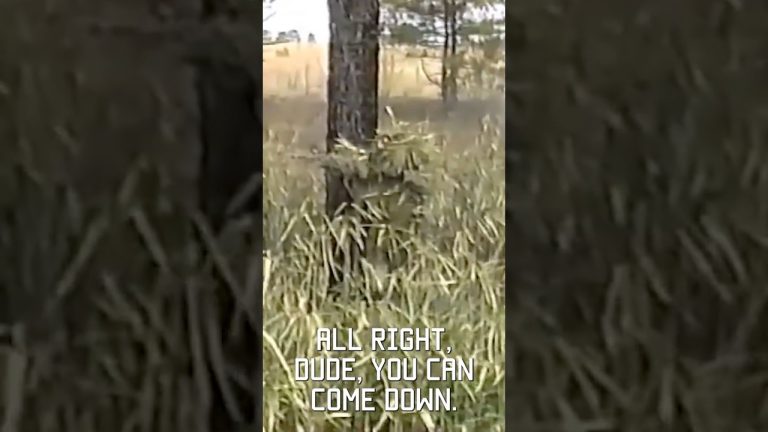Best military camoflauge ever? Sniper school 1994 #vhs #throwback #military #shorts