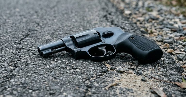 Armed Georgia Man Shoots Road Rage Attacker Who Grabbed His Revolver – Off-Duty GBI Agent Then Opens Fire on Him