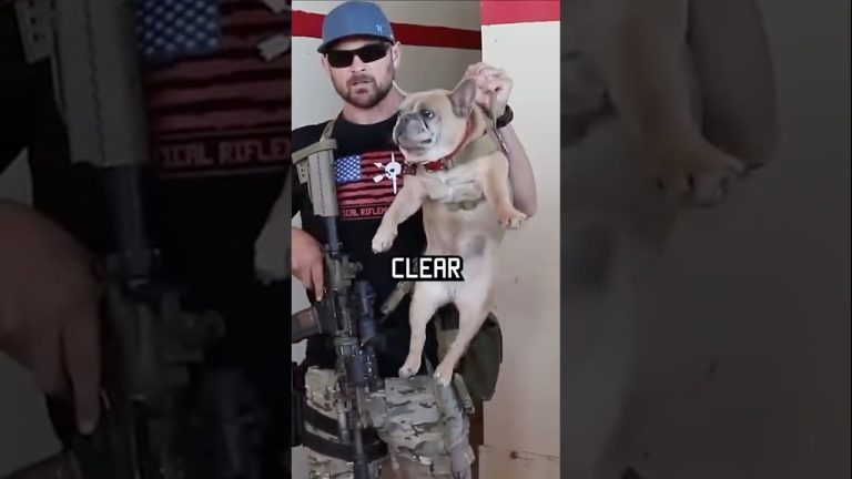 How Navy Seals Clear A Room #specialforces #navyseal #shorts