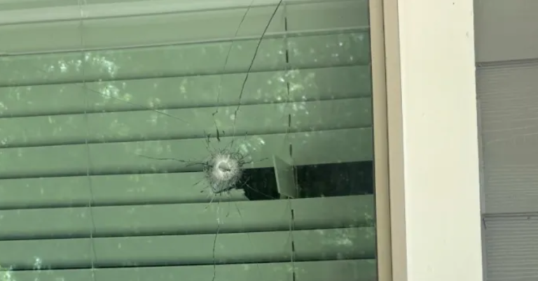 “He Was Mad”: Memphis Woman Fires Back After Ex-Boyfriend Shoots Into Apartment