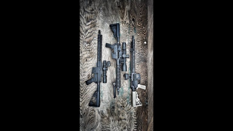 Which Optic Is Best for Your AR-15? (Navy SEAL Review)