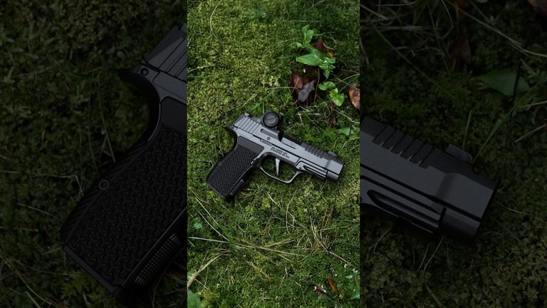 Flattest shooting .380 (SIG P365 LUXE)