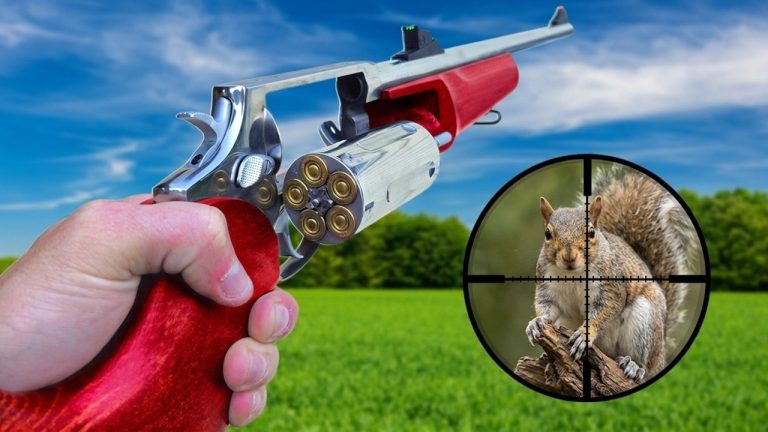 The Ultimate .410 Shotgun Is Just $230 — It’s All You Need!