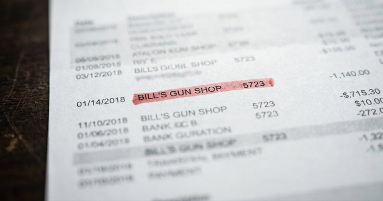 Five Democrats Cross Over as House Votes to Block Credit Card Tracking of Gun Buyers