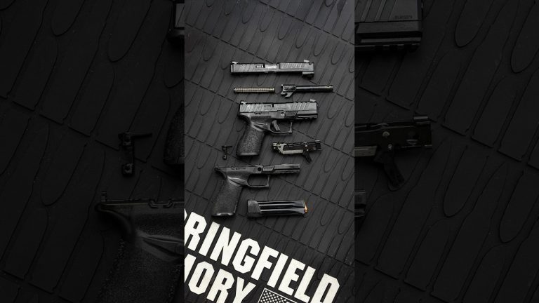 Springfield Armory Echelon Alpha 🔥