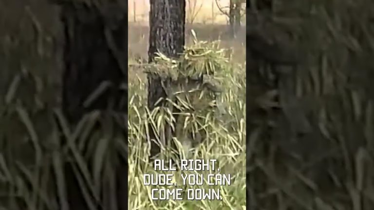 Sniper School Stalk, filmed on VHS in 1994  #sniper #tacticalrifleman #vhs #military