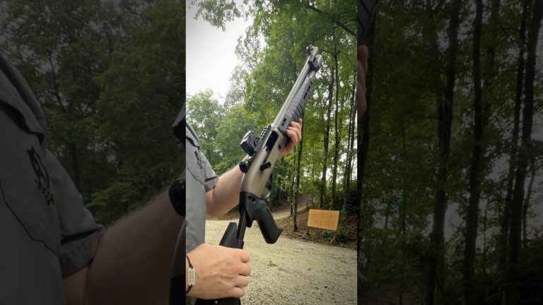 Would you want one for home defense? (Benelli M2-G1)