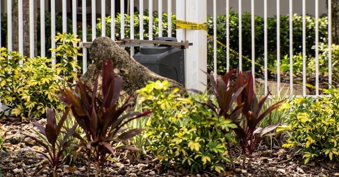 Man Dead After Trying to Force His Way Into Home Where His Ex-Girlfriend Was Visiting
